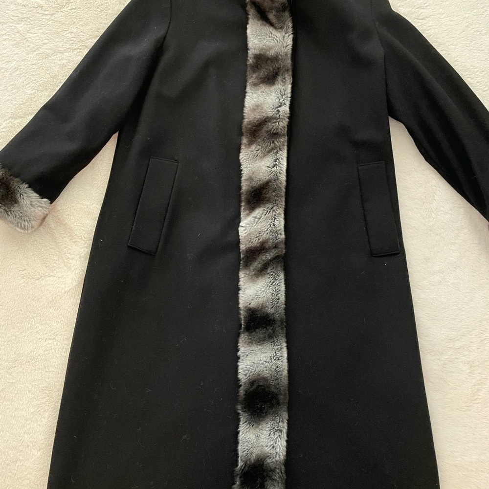 Amazing Coat - image 3